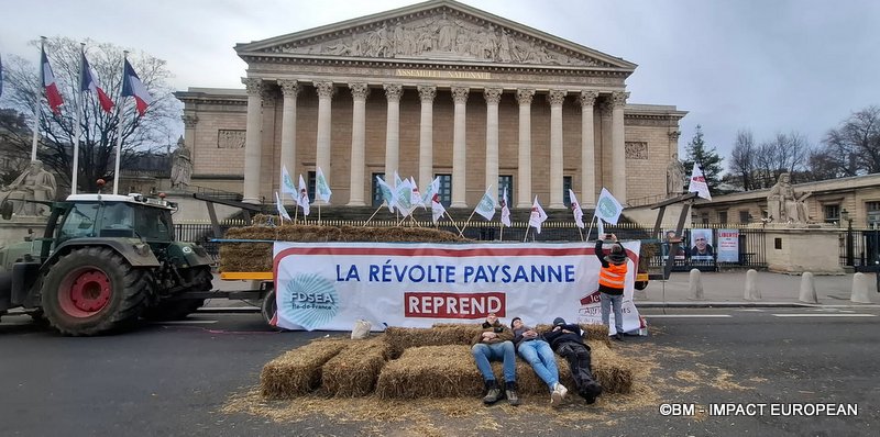 Colère agricole : pommes de terre déversées à Paris