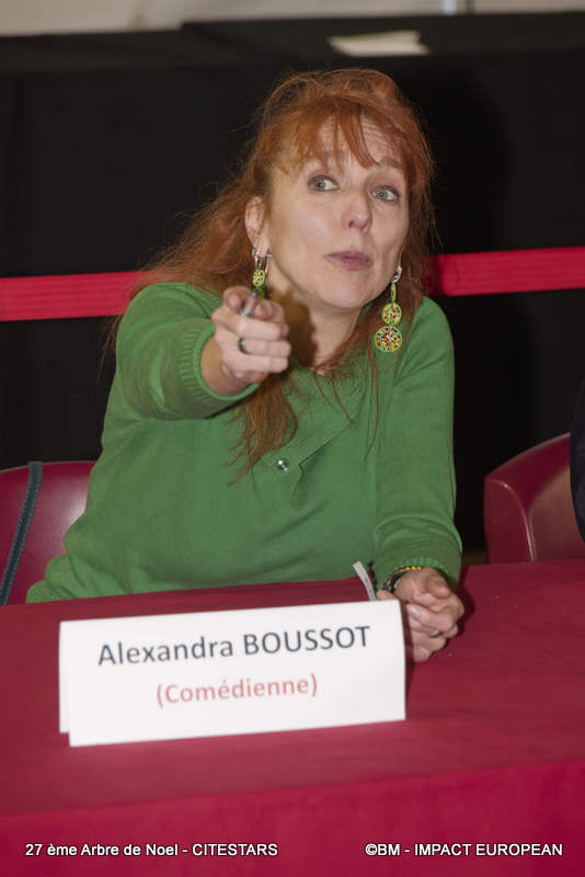 Arbre Noel CiteStars 0053