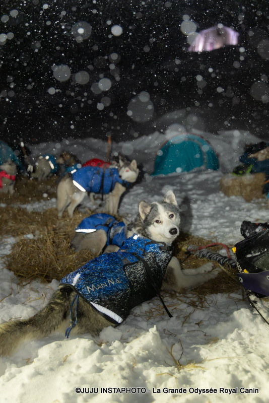 presse-lgo2026-170126-jujuinstaphoto-0148-jpg-1768700018