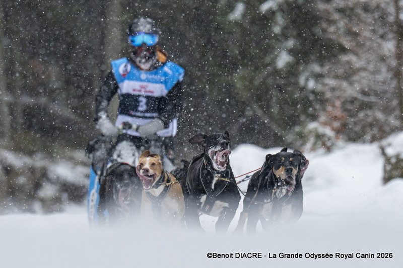 presse-lgo26-22-01-26-benoit-diacre-11-jpg-1769107938