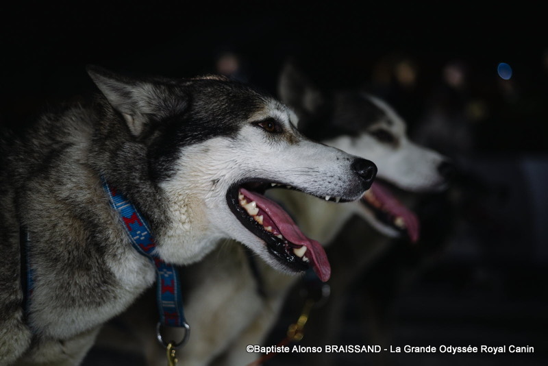 presselgo26-15-01-baptistealonsobraissand-2143-jpg-1768522573