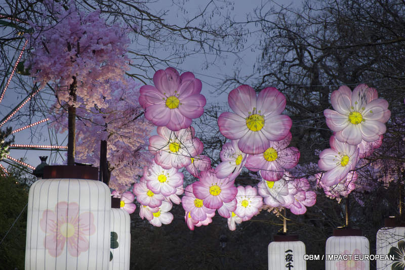 Japon en lumieres 0001