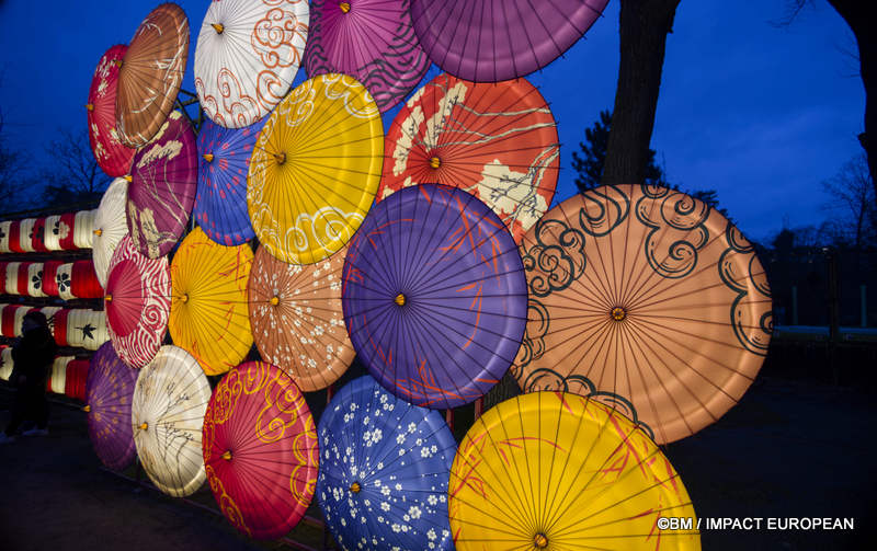 Japon en lumieres 0011