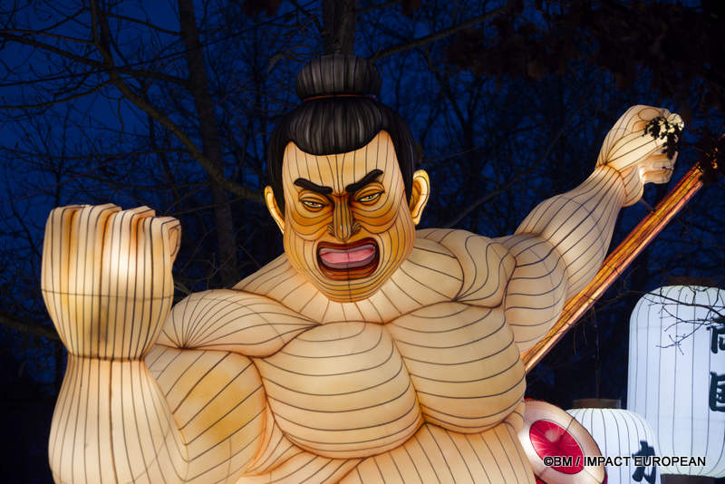 Japon en lumieres 0023