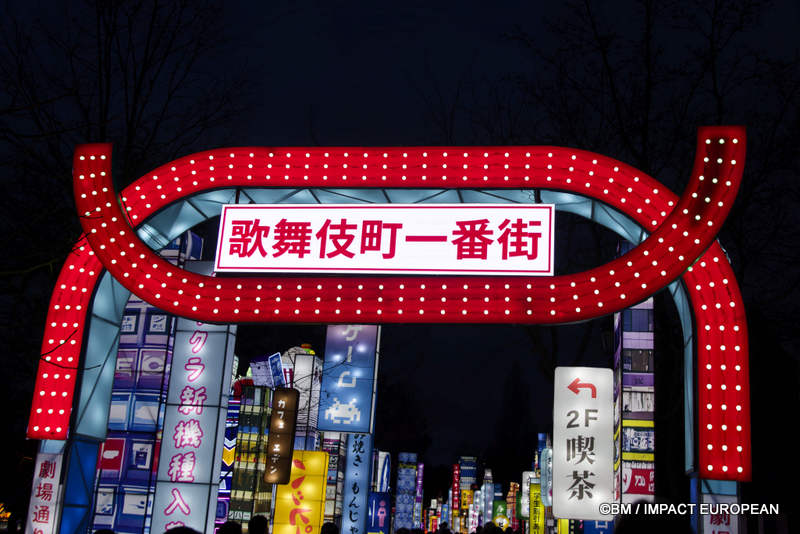 Japon en lumieres 0025