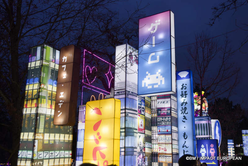 Japon en lumieres 0027