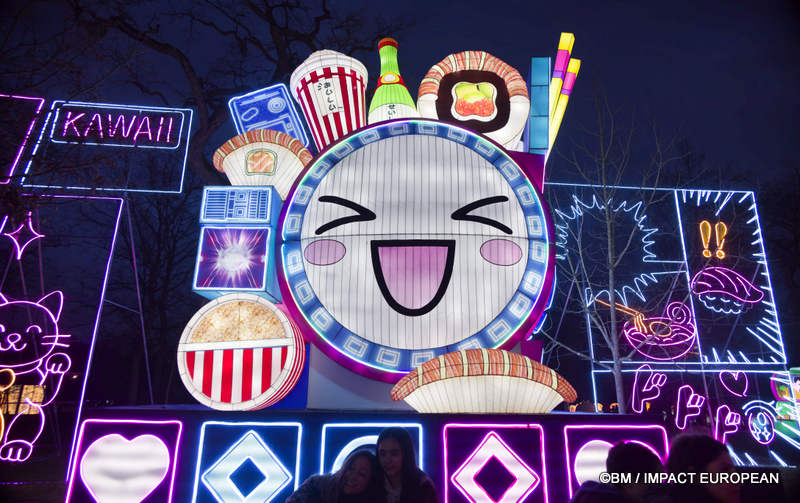 Japon en lumieres 0028