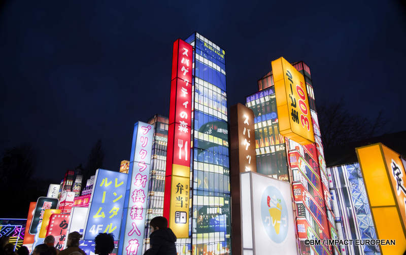 Japon en lumieres 0031