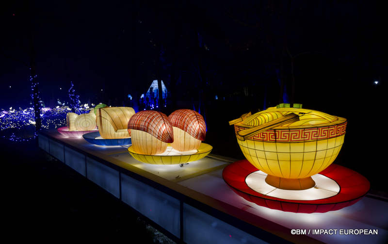 Japon en lumieres 0032