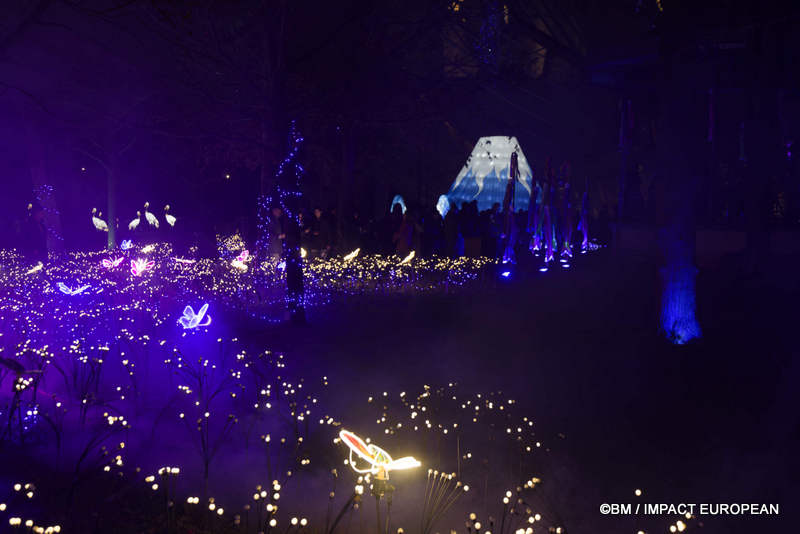 Japon en lumieres 0033