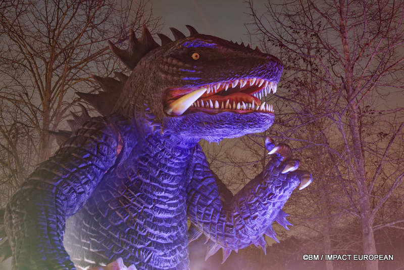 Japon en lumieres 0034