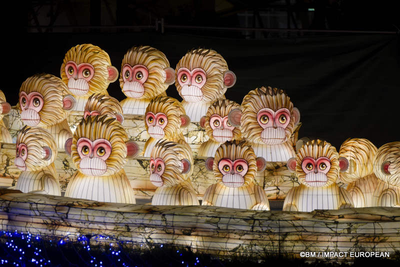 Japon en lumieres 0035