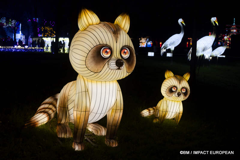 Japon en lumieres 0037