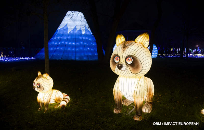 Japon en lumieres 0039