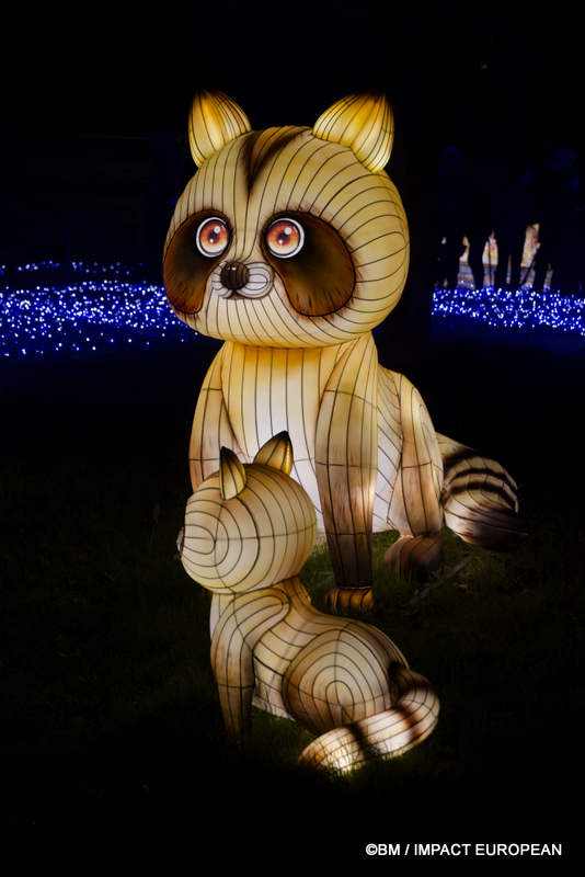 Japon en lumieres 0040