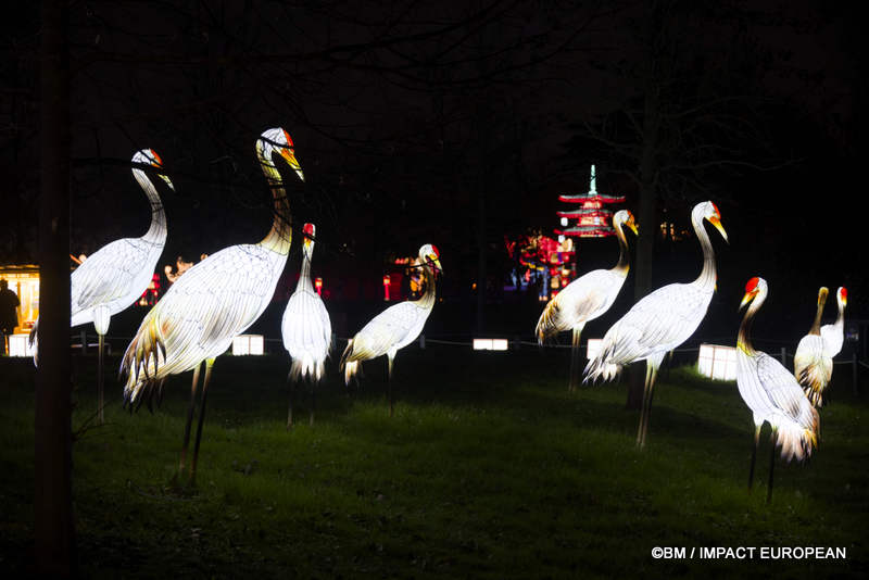 Japon en lumieres 0041