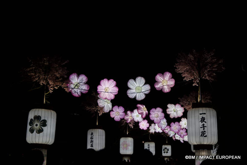 Japon en lumieres 0045