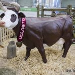 Cette année la nouvelle indéntité de salon internatinal de l'agriculture