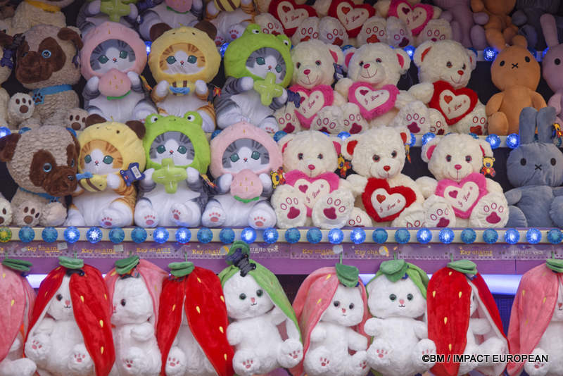 Foire du tone 2026 0005