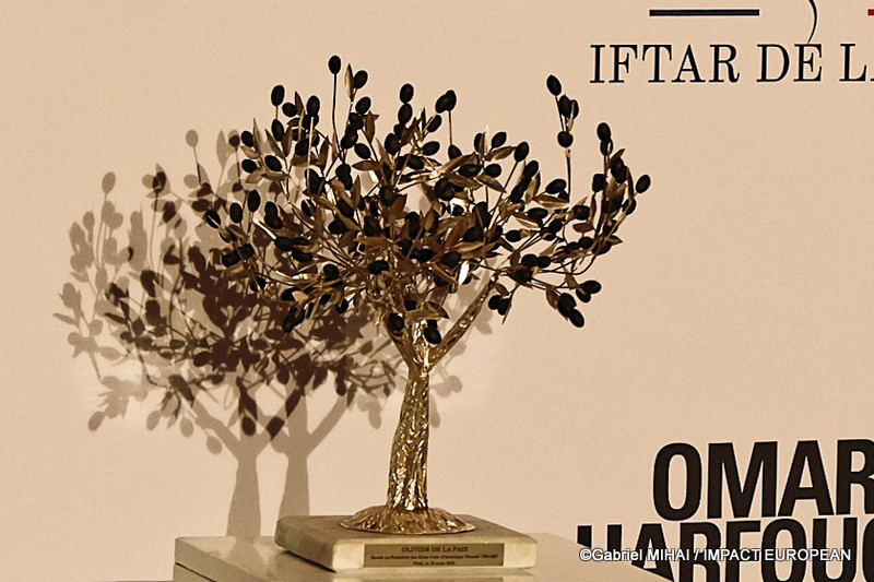 IMG_9445olivier doald tump