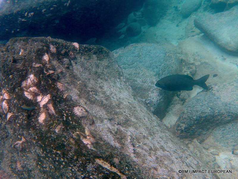 From rainforest-covered mountains to coral gardens beneath the South China Sea, Tioman Island reveals one of Malaysia's richest natural ecosystems. / Entre plages de sable blanc, jungle tropicale et récifs coralliens d'une richesse exceptionnelle, l'île de Tioman et les îles environnantes offrent l'un des plus beaux paysages naturels de Malaisie. Photo: BM - IMPACT EUROPEAN