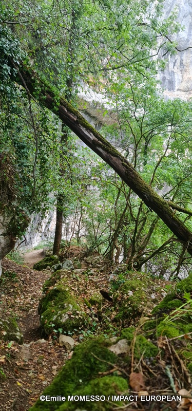 Grotte du Mas-d’Azil (13)