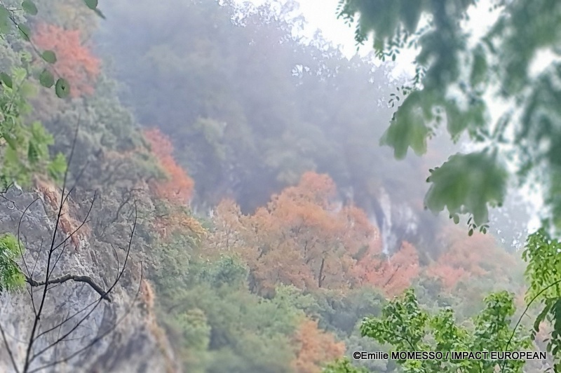 Grotte du Mas-d’Azil (17)