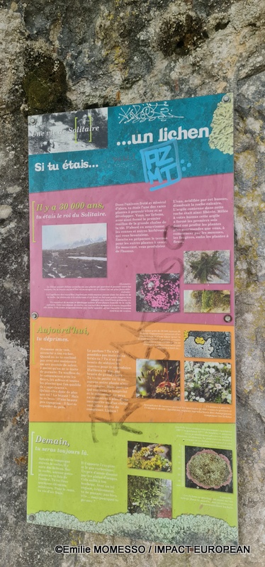Grotte du Mas-d’Azil (27)