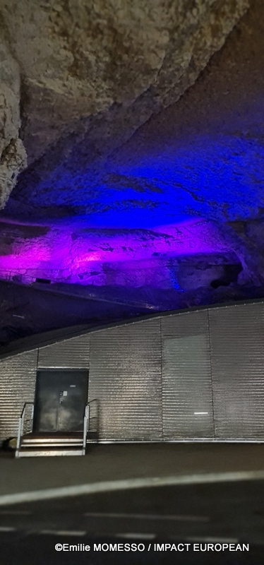 Grotte du Mas-d’Azil (44)
