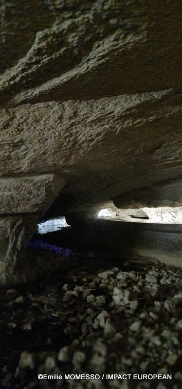 Grotte du Mas-d’Azil (45)