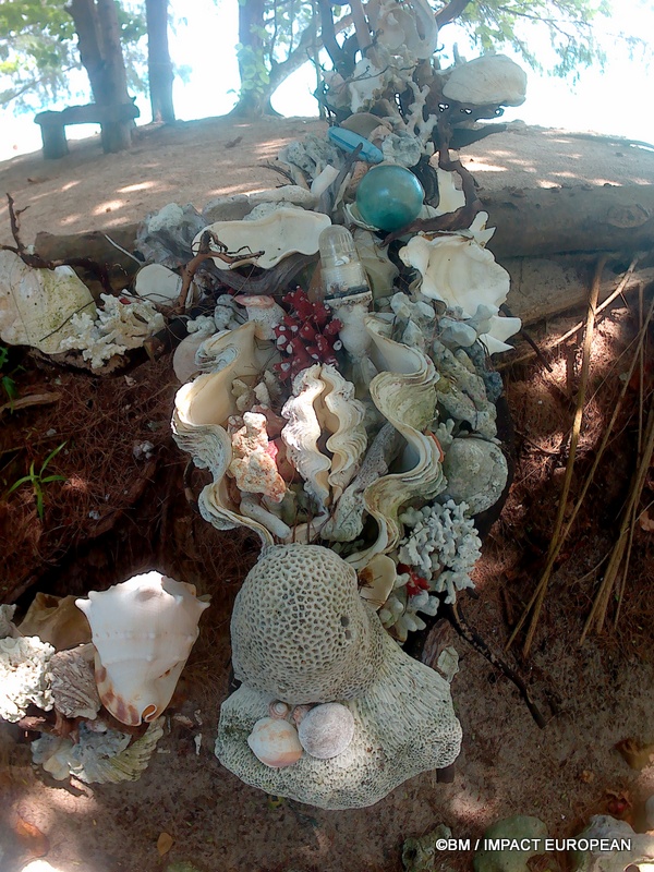 FR : Coraux et coquillages rassemblés près du sanctuaire témoignent de la richesse du milieu marin qui entoure Tioman.

EN : Corals and shells gathered near the sanctuary reflect the richness of the marine environment surrounding Tioman.

MY : Batu karang dan cangkerang yang dikumpulkan berhampiran pusat perlindungan menggambarkan kekayaan alam marin yang mengelilingi Pulau Tioman.

 ©BM / IMPACT EUROPEAN