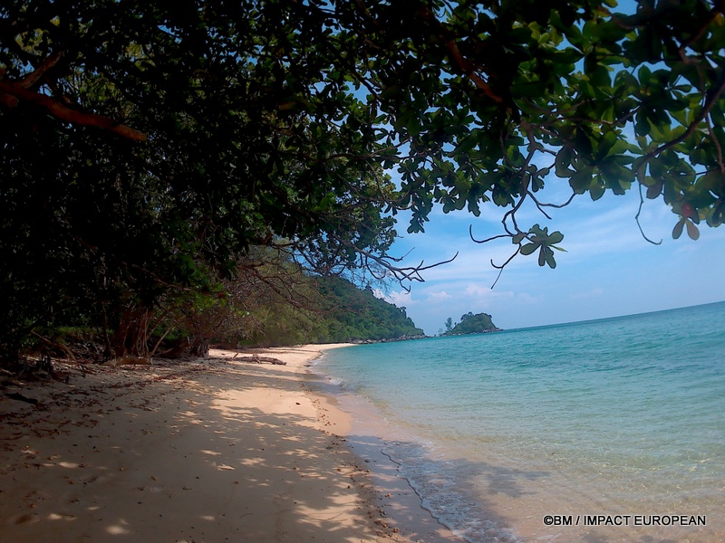 FR : Une plage bordée par la forêt tropicale sur l’île de Tioman. Loin des grands complexes touristiques, le littoral conserve par endroits un caractère presque sauvage.

EN : A tropical forest-fringed beach on Tioman Island. Away from the major tourist resorts, parts of the coastline retain an almost untouched character.

MY : Sebuah pantai yang dikelilingi hutan tropika di Pulau Tioman. Jauh daripada pusat peranginan pelancongan yang besar, sebahagian pesisirnya masih mengekalkan suasana semula jadi yang hampir tidak terusik.

 ©BM / IMPACT EUROPEAN