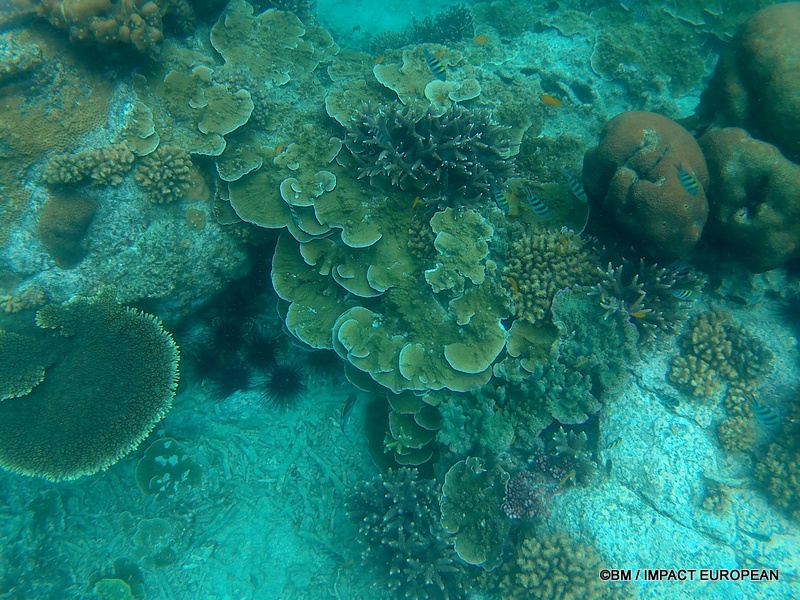 Tioman 0001