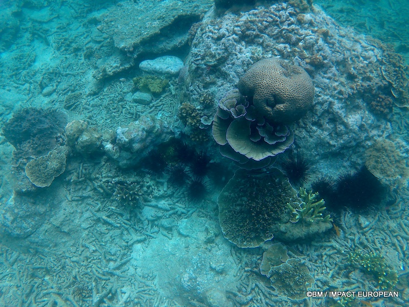 Tioman 0021