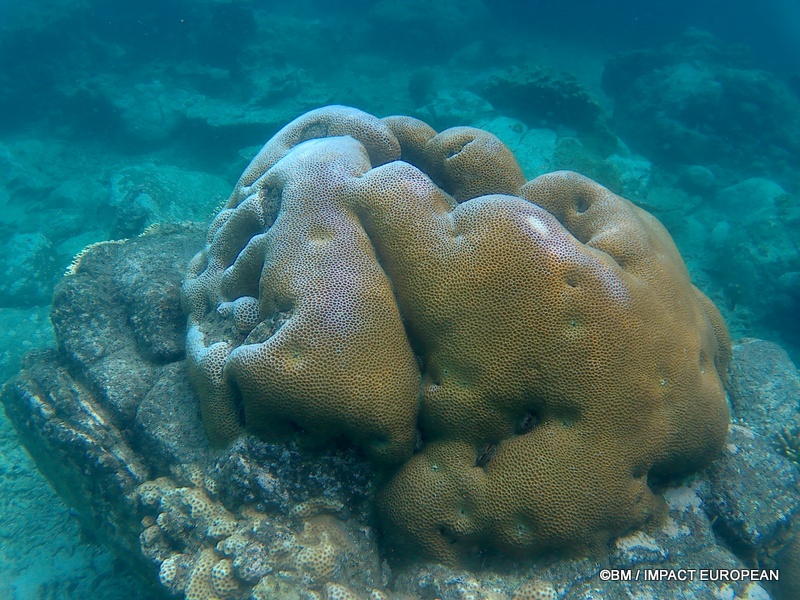 Tioman 0023