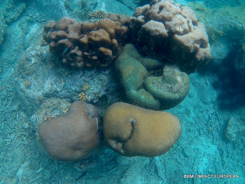 Tioman 0024
