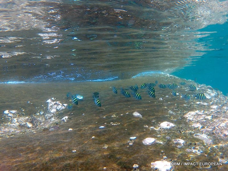 Tioman 0025