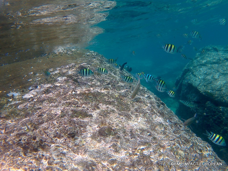 Tioman 0026