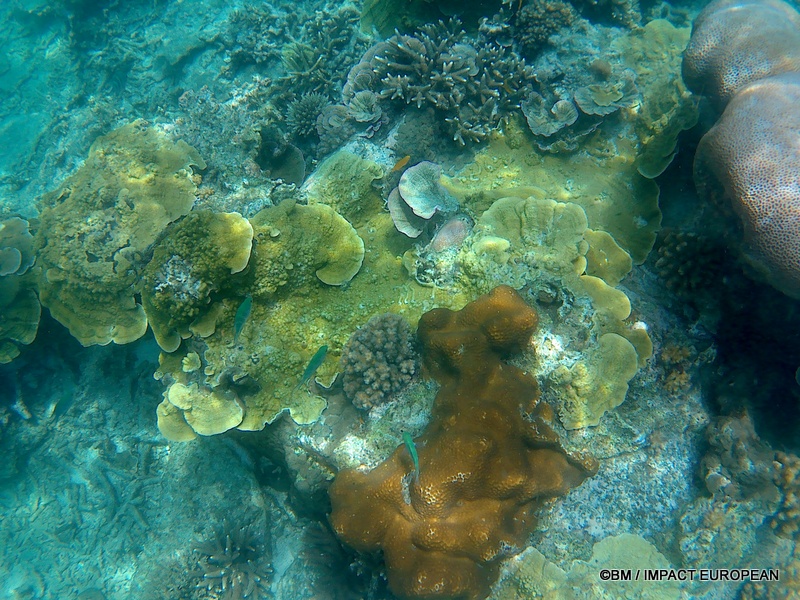 Tioman 0028