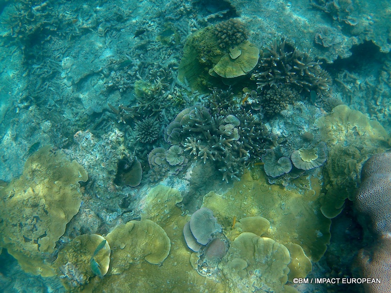 Tioman 0029