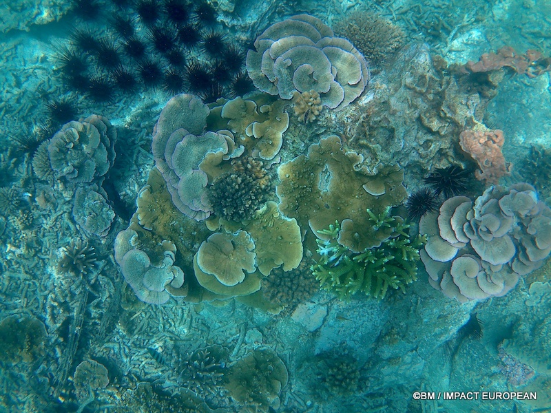 Tioman 0030