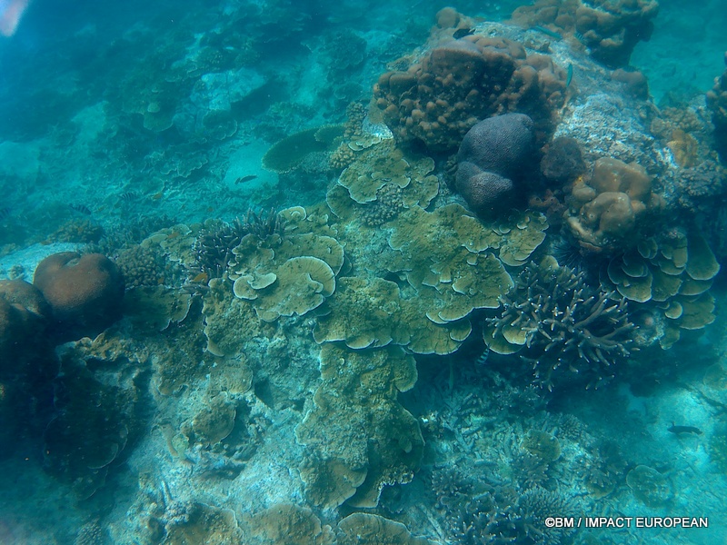Tioman 0031