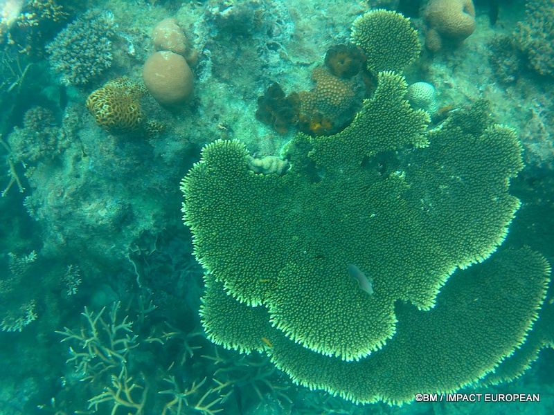 Tioman 0033