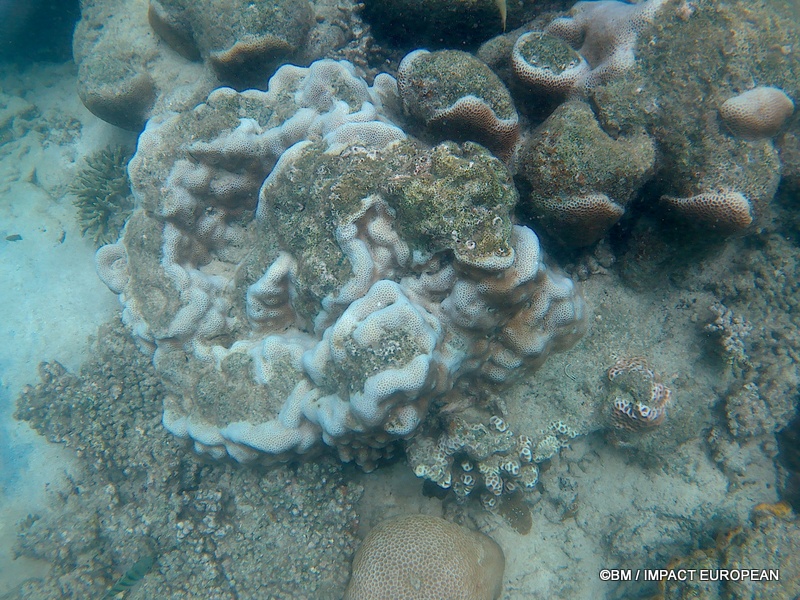 Tioman 0037