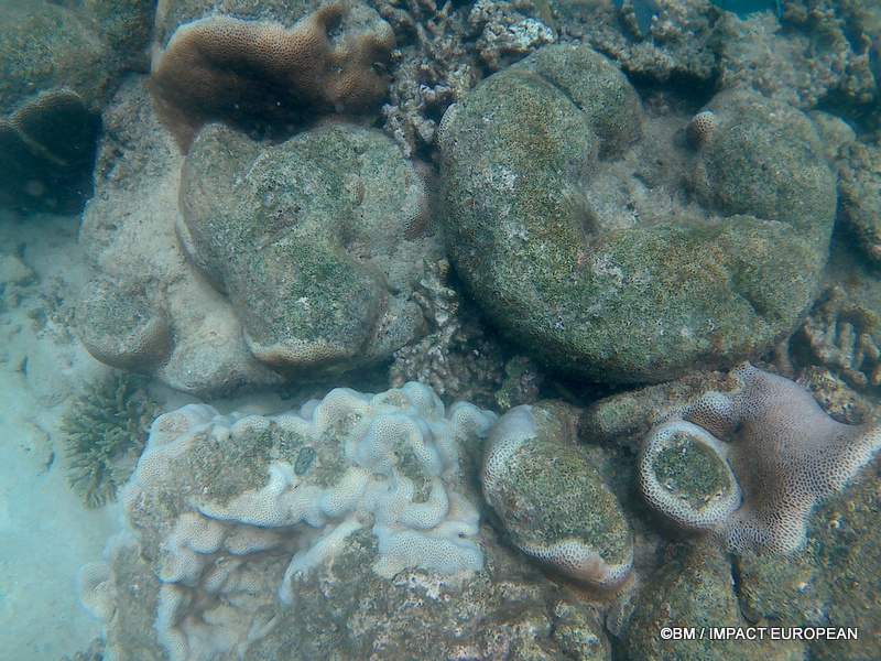 Tioman 0038