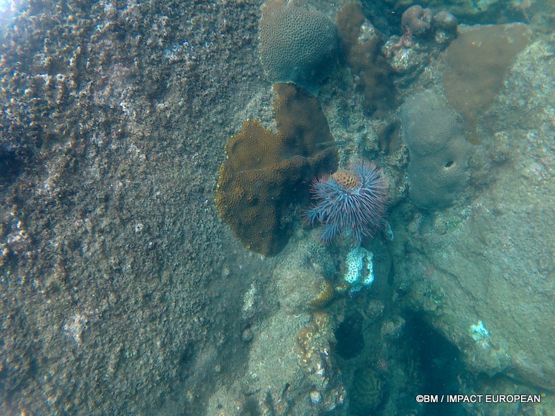 Tioman 0042