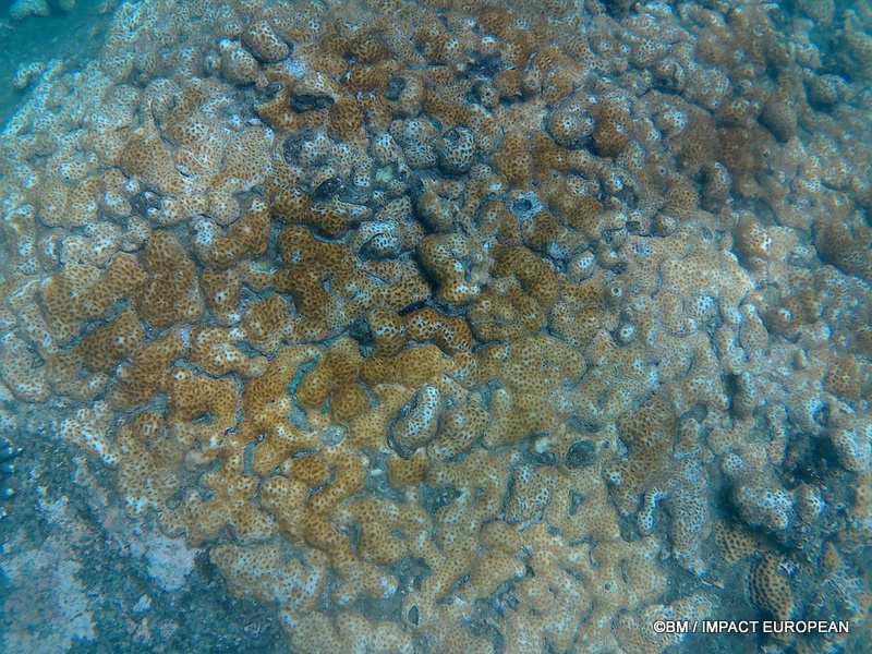 Tioman 0043