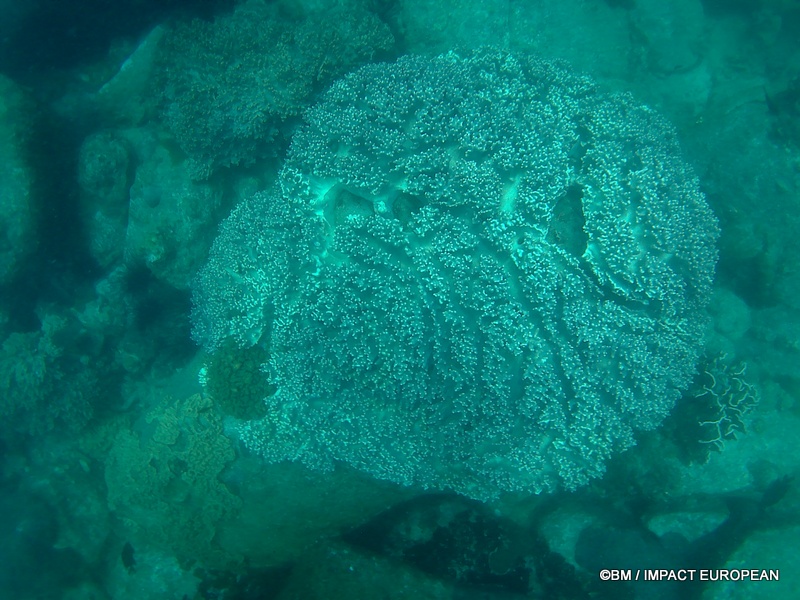 Tioman 0044