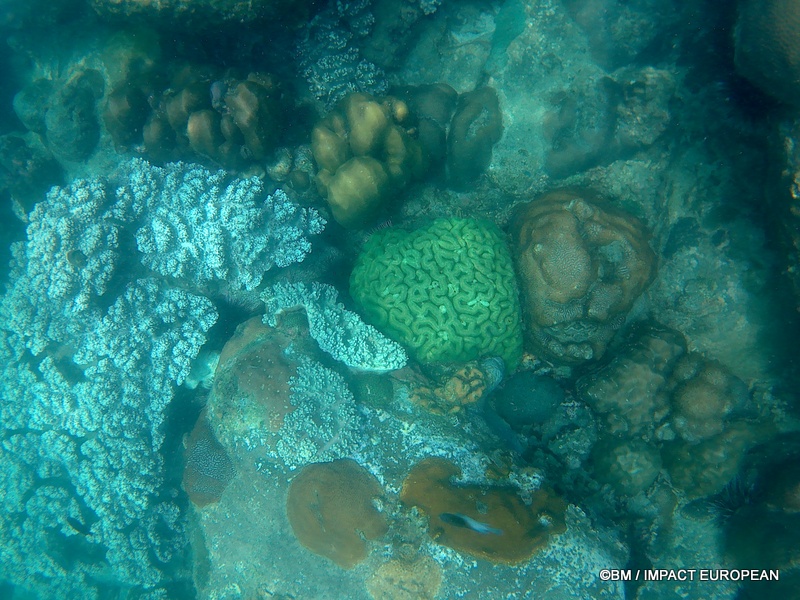Tioman 0045