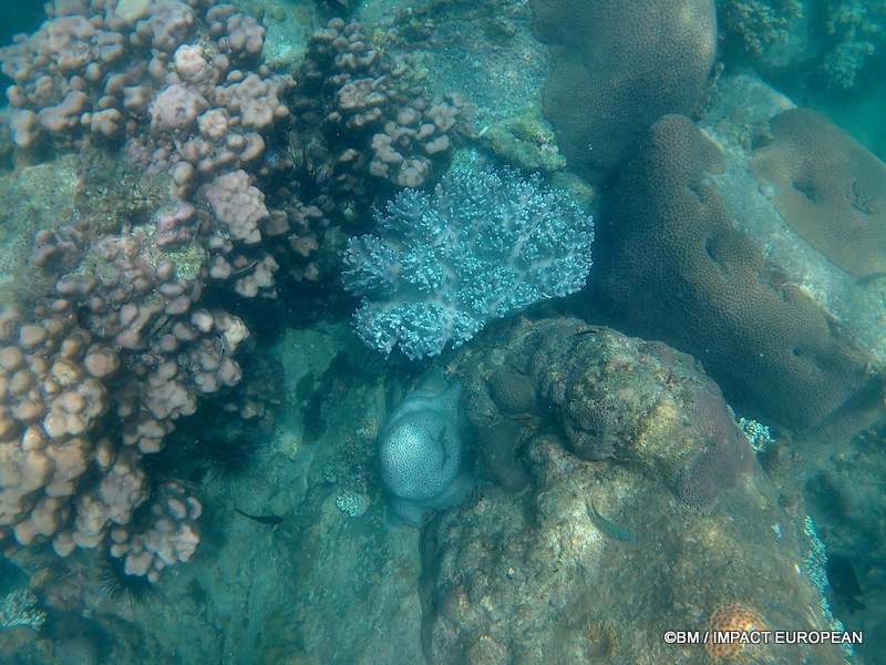 Tioman 0046